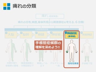痺れの分類
痺れ  (感覚障害)
痺れの分布,病歴,⾝身体所⾒見見から障害部位を考える.６分類!
神経絞扼
(単神経)
末梢神経
対側半⾝身や
感覚野の領領域
障害側顔⾯面と
対側頸部以下
障害レベル
以下
デルマトームに
⼀一致
⼤大脳 脳幹 脊髄 神経根
外側脊髄視床路路
21 3 4 5 6
限局性障害 ⼿手袋靴下型
⼿手根管症候群の
理理解を深めよう!!
 