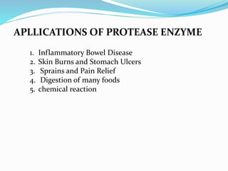 1. Inflammatory Bowel Disease
2. Skin Burns and Stomach Ulcers
3. Sprains and Pain Relief
4. Digestion of many foods
5. chemical reaction
APLLICATIONS OF PROTEASE ENZYME
 