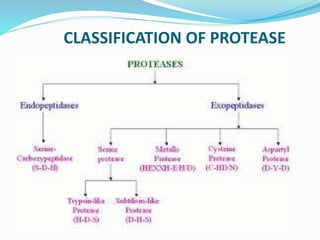 CLASSIFICATION OF PROTEASE
 