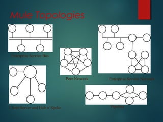 Mule Topologies
Enterprise Service Bus
Client/Server and Hub n' Spoke
Peer Network
Pipeline
Enterprise Service Network
 