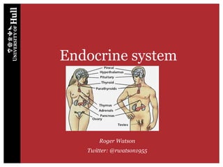 Endocrine system
Roger Watson
Twitter: @rwatson1955
 