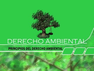 DERECHO AMBIENTAL
PRINCIPIOS DEL DERECHO AMBIENTAL
 