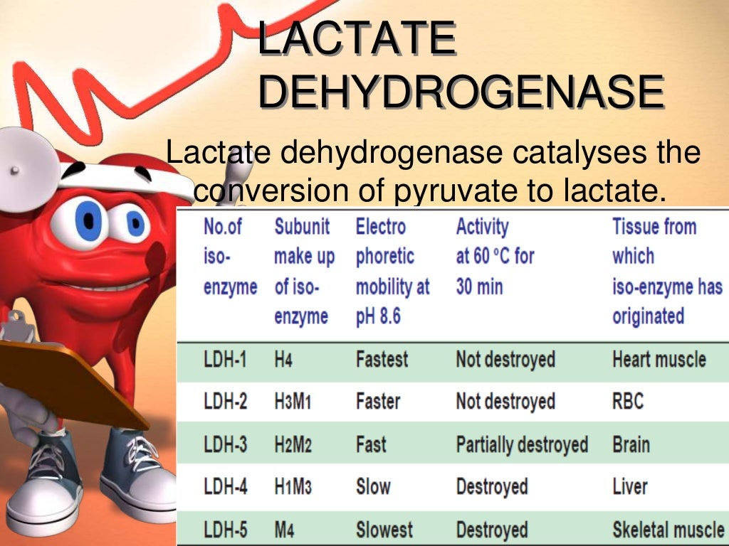 4.sakina cardiac enzymes