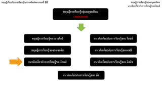 ทฤษฎีการเรียนรู้กลุ่มมนุษยนิยม
(Humanism)
ทฤษฎีเกี่ยวกับการเรียนรู้ในช่วงคริสต์ศตวรรษที่ 20 ทฤษฎีการเรียนรู้กลุ่มมนุษยนิยม
ทฤษฎีการเรียนรู้ของมาสโลว์ แนวคิดเกี่ยวกับการเรียนรู้ของ โนลส์
ทฤษฎีการเรียนรู้ของรอเจอร์ส แนวคิดเกี่ยวกับการเรียนรู้ของแฟร์
แนวคิดเกี่ยวกับการเรียนรู้ของโคมส์ แนวคิดเกี่ยวกับการเรียนรู้ของ อิลลิช
แนวคิดเกี่ยวกับการเรียนรู้ของ นีล
แนวคิดเกี่ยวกับการเรียนรู้ของโคมส์
 
