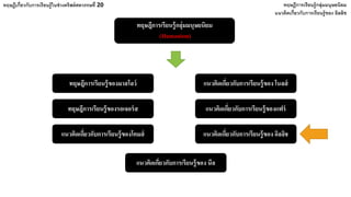 ทฤษฎีการเรียนรู้กลุ่มมนุษยนิยม
(Humanism)
ทฤษฎีเกี่ยวกับการเรียนรู้ในช่วงคริสต์ศตวรรษที่ 20 ทฤษฎีการเรียนรู้กลุ่มมนุษยนิยม
ทฤษฎีการเรียนรู้ของมาสโลว์ แนวคิดเกี่ยวกับการเรียนรู้ของ โนลส์
ทฤษฎีการเรียนรู้ของรอเจอร์ส แนวคิดเกี่ยวกับการเรียนรู้ของแฟร์
แนวคิดเกี่ยวกับการเรียนรู้ของโคมส์ แนวคิดเกี่ยวกับการเรียนรู้ของ อิลลิช
แนวคิดเกี่ยวกับการเรียนรู้ของ นีล
แนวคิดเกี่ยวกับการเรียนรู้ของ อิลลิช
 
