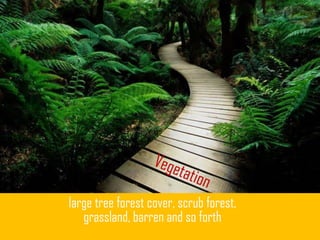 large tree forest cover, scrub forest,
grassland, barren and so forth
 