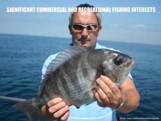 Photo: www.totallyawesomefishing.com
SIGNIFICANT COMMERCIAL AND RECREATIONAL FISHING INTERESTS
 