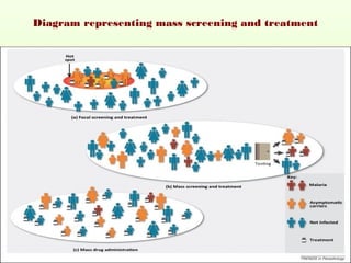 Diagram representing mass screening and treatment
•
 
