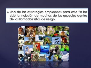  Una de las estrategias empleadas para este fin ha
sido la inclusión de muchas de las especies dentro
de las llamadas listas de riesgo.
 