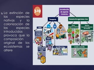  La extinción de
las especies
nativas y la
colonización de
las especies
introducidas
provoca que la
composición
original de los
ecosistemas se
altere
 
