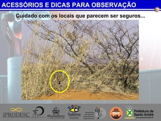 Cuidado com os locais que parecem ser seguros...
ACESSÓRIOS E DICAS PARA OBSERVAÇÃO
 
