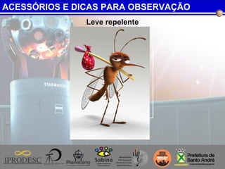 Leve repelente
ACESSÓRIOS E DICAS PARA OBSERVAÇÃO
 