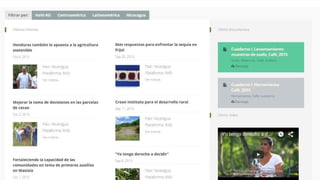 Constructing an Online Information System for Central America and  the Caribbean