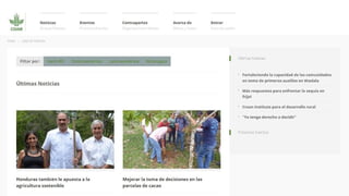 Constructing an Online Information System for Central America and  the Caribbean