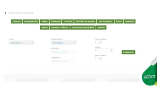 Constructing an Online Information System for Central America and  the Caribbean