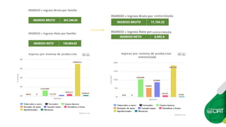 Constructing an Online Information System for Central America and  the Caribbean