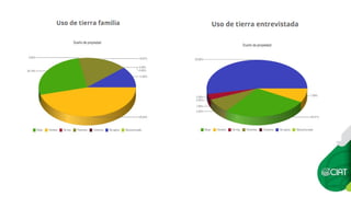 Constructing an Online Information System for Central America and  the Caribbean