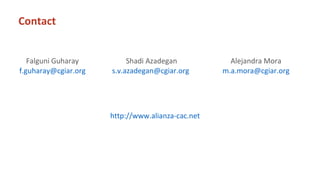 Constructing an Online Information System for Central America and  the Caribbean