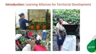 Constructing an Online Information System for Central America and  the Caribbean