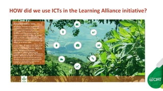 Constructing an Online Information System for Central America and  the Caribbean