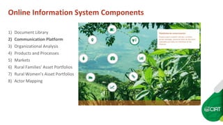 Constructing an Online Information System for Central America and  the Caribbean