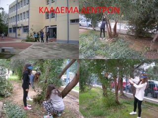 ΚΛΑΔΕΜΑ ΔΕΝΤΡΩΝ
 