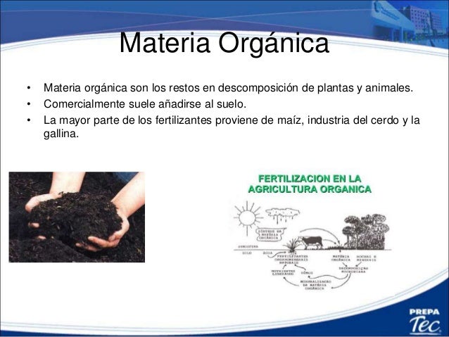 Resultado de imagen para caracteristicas de la materia organica