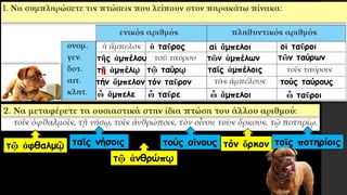 τῆς ἀμπέλου
τ ἀμπέλῳ
τήν ἄμπελον
ὦ ἄμπελε
αἱ ἄμπελοι
τῶν ἀμπέλων
ταῖς ἀμπέλοις
ὦ ἄμπελοι
τῷ ταύρῳ
τόν ταῦρον
ὦ ταῦρε
οἱ ταῦροι
τῶν ταύρων
τούς ταύρους
ὦ ταῦροι
ὁ ταῦρος
τῷ ὀφθαλμῷ ταῖς νήσοις
τῷ ἀνθρώπῳ
τούς οἴνους τόν ὅρκον τοῖς ποτηρίοις
 