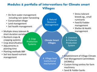 Climate Smart
Villages
1. Natural
Resource
Management
3. Livestock
& Fisheries
Production
System
4. Village level
Institutional
mechanisms
2. Crop
Production
Systems
Modules & portfolio of interventions for Climate smart
Villages
• On-farm water management
including rain water harvesting
• Conservation tillage
• Land management
• Soil health management
• Multiple stress tolerant &
short duration varieties
• Resilient crops &
cropping systems
• Crop diversification
• Adjustments in
planting time
• Planting methods BBF
• Soil test based nutrient
management
• Stress tolerant
breeds eg., small
ruminants
• Feed & Fodder
management
• Shelter & Health
management
• Establishment of Village Climate
Risk Management Committees
(VCRMCs)
• Custom hiring centres for farm
machinery
• Seed & Fodder banks
 