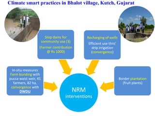 Climate smart practices in Bhalot village, Kutch, Gujarat
NRM
interventions
In-situ measures
Farm bunding with
pucca waist weir, 41
farmers, 82 ha,
convergence with
DWDU
Stop dams for
community use (3)
(Farmer contribution
@ Rs 1000)
Recharging of wells
Efficient use thro’
drip irrigation
(convergence)
Border plantation
(fruit plants)
 