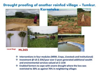 Local Ragi
ML365
Drought proofing of another rainfed village – Tumkur,
Karnataka
 Interventions in four modules (NRM, Crops, Livestock and Institutional)
 Investment @ US $ 25K/year over 3 years generated additional wealth
and environmental services valued at $ 115K
 Enabled farmers to cope with severe drought where the loss was
restricted to 30% as against 70% in neighboring villages
 