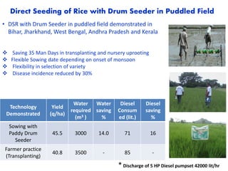 Direct Seeding of Rice with Drum Seeder in Puddled Field
Technology
Demonstrated
Yield
(q/ha)
Water
required
(m3 )
Water
saving
%
Diesel
Consum
ed (lit.)
Diesel
saving
%
Sowing with
Paddy Drum
Seeder
45.5 3000 14.0 71 16
Farmer practice
(Transplanting)
40.8 3500 - 85 -
* Discharge of 5 HP Diesel pumpset 42000 lit/hr
• DSR with Drum Seeder in puddled field demonstrated in
Bihar, Jharkhand, West Bengal, Andhra Pradesh and Kerala
 Saving 35 Man Days in transplanting and nursery uprooting
 Flexible Sowing date depending on onset of monsoon
 Flexibility in selection of variety
 Disease incidence reduced by 30%
 
