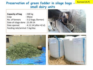 Preservation of green fodder in silage bags - –
small dairy units
Capacity of bag : 500 kg
Crop : Maize
No. of farmers : 5 (2 bags /farmer)
Date of silage done : 21.09.14
Date opened : 4.11.14 (after 42 d)
Feeding rate/animal: 5 kg/day
Kurnool (A.P)
 