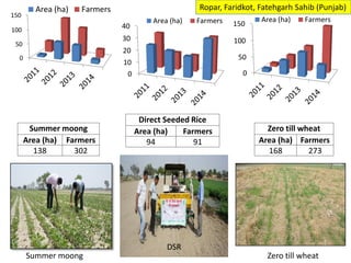 Summer moong Zero till wheat
Ropar, Faridkot, Fatehgarh Sahib (Punjab)
Summer moong
Area (ha) Farmers
138 302
Direct Seeded Rice
Area (ha) Farmers
94 91
Zero till wheat
Area (ha) Farmers
168 273
0
50
100
150
Area (ha) Farmers
0
10
20
30
40
Area (ha) Farmers
0
50
100
150
Area (ha) Farmers
DSR
 