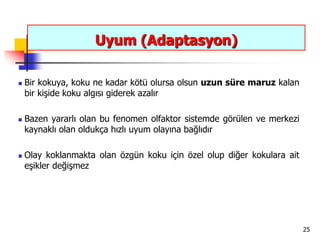 25
Uyum (Adaptasyon)
 Bir kokuya, koku ne kadar kötü olursa olsun uzun süre maruz kalan
bir kişide koku algısı giderek azalır
 Bazen yararlı olan bu fenomen olfaktor sistemde görülen ve merkezi
kaynaklı olan oldukça hızlı uyum olayına bağlıdır
 Olay koklanmakta olan özgün koku için özel olup diğer kokulara ait
eşikler değişmez
 