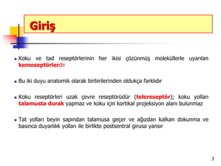3
Giriş
 Koku ve tad reseptörlerinin her ikisi çözünmüş moleküllerle uyarılan
kemoseptörlerdir
 Bu iki duyu anatomik olarak birbirilerinden oldukça farklıdır
 Koku reseptörleri uzak çevre reseptörüdür (telereseptör); koku yolları
talamusta durak yapmaz ve koku için kortikal projeksiyon alanı bulunmaz
 Tat yolları beyin sapından talamusa geçer ve ağızdan kalkan dokunma ve
basınca duyarlılık yolları ile birlikte postsentral girusa yansır
 