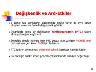51
Değişkenlik ve Ard-Etkiler
 5 temel tad goncasının dağılımında çeşitli türler ile aynı türün
bireyleri arasında önemli değişkenlik görülür
 İnsanlarda ilginç bir değişkenlik feniltiokarbamit (PTC) tadını
alma yeteneğinde gözlenir
 Seyreltik çözelti halinde iken PTC beyaz ırkın yaklaşık %70’de ekşi
tad verirken geri kalan %30 için tadsızdır
 PTC tadının alınmaması otozomal çekinik karekter halinde katılır
 Bu özelliğin analizi insan genetik çalışmalarında oldukça değer taşır
 