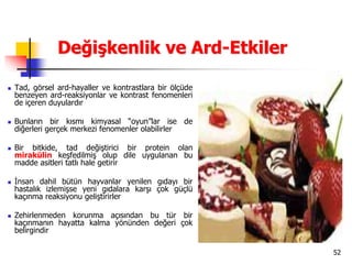 52
Değişkenlik ve Ard-Etkiler
 Tad, görsel ard-hayaller ve kontrastlara bir ölçüde
benzeyen ard-reaksiyonlar ve kontrast fenomenleri
de içeren duyulardır
 Bunların bir kısmı kimyasal “oyun”lar ise de
diğerleri gerçek merkezi fenomenler olabilirler
 Bir bitkide, tad değiştirici bir protein olan
mirakülin keşfedilmiş olup dile uygulanan bu
madde asitleri tatlı hale getirir
 İnsan dahil bütün hayvanlar yenilen gıdayı bir
hastalık izlemişse yeni gıdalara karşı çok güçlü
kaçınma reaksiyonu geliştirirler
 Zehirlenmeden korunma açısından bu tür bir
kaçınmanın hayatta kalma yönünden değeri çok
belirgindir
 