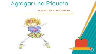 Agregar una Etiqueta
Aceneth Sánchez Gutiérrez
 