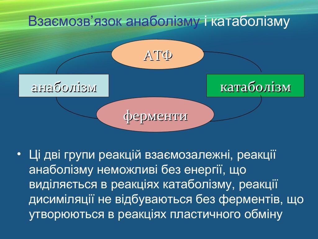 обмін орг обмін орг