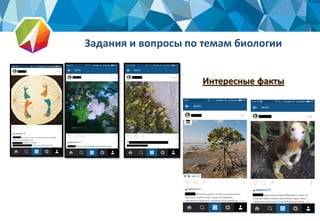 Задания и вопросы по темам биологии
5
Интересные факты
 