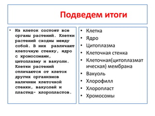 Подведем итоги
• Из клеток состоят все
органы растений. Клетки
растений сходны между
собой. В них различают
клеточную стенку, ядро
с хромосомами,
цитоплазму и вакуоли.
Клетки растений
отличаются от клеток
других организмов
наличием клеточной
стенки, вакуолей и
пластид- хлоропластов.
• Клетка
• Ядро
• Цитоплазма
• Клеточная стенка
• Клеточная(цитоплазмат
ическая) мембрана
• Вакуоль
• Хлорофилл
• Хлоропласт
• Хромосомы
 