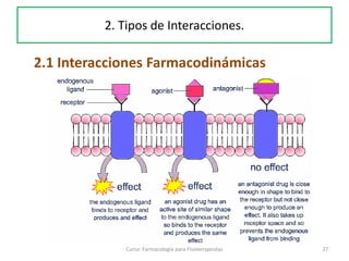 27Curso: Farmacología para Fisioterapeutas
2.1 Interacciones Farmacodinámicas
2. Tipos de Interacciones.
 