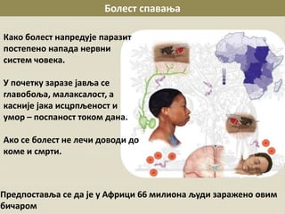 Болест спавања
Како болест напредује паразит
постепено напада нервни
систем човека.
У почетку заразе јавља се
главобоља, малаксалост, а
касније јака исцрпљеност и
умор – поспаност током дана.
Ако се болест не лечи доводи до
коме и смрти.
Предпоставља се да је у Африци 66 милиона људи заражено овим
бичаром
 