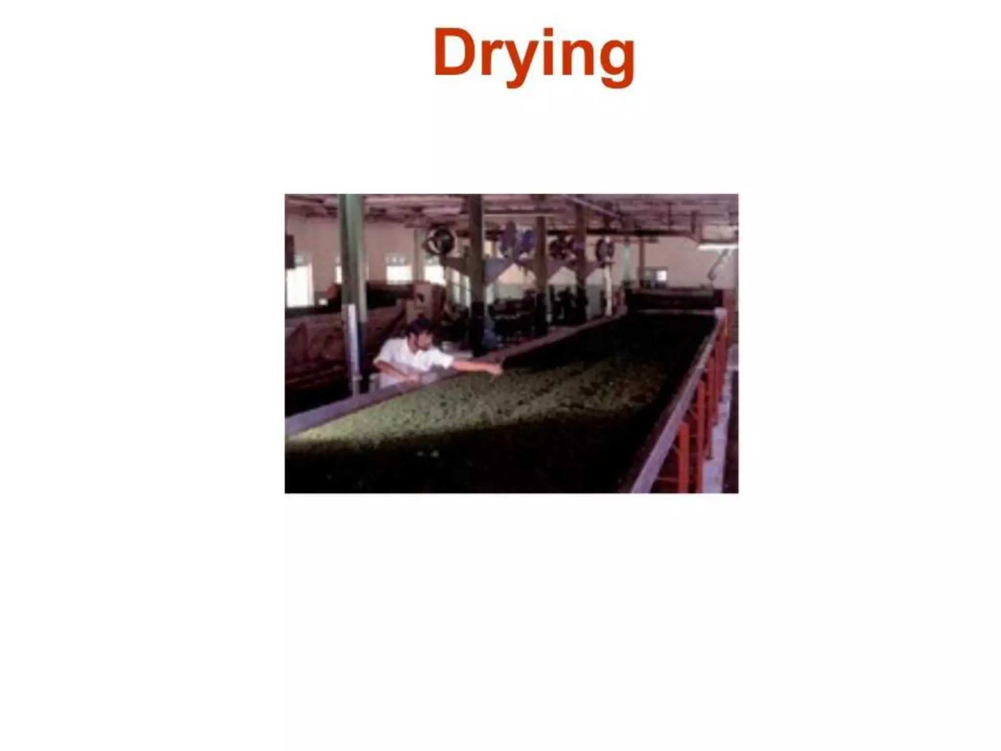 4.black tea manufacturing processes A Lecture By Mr. Allah Dad Khan Visiting Professor the University of Agriculture Peshawar Khyber Pakhtunkhwa Province Pakistan