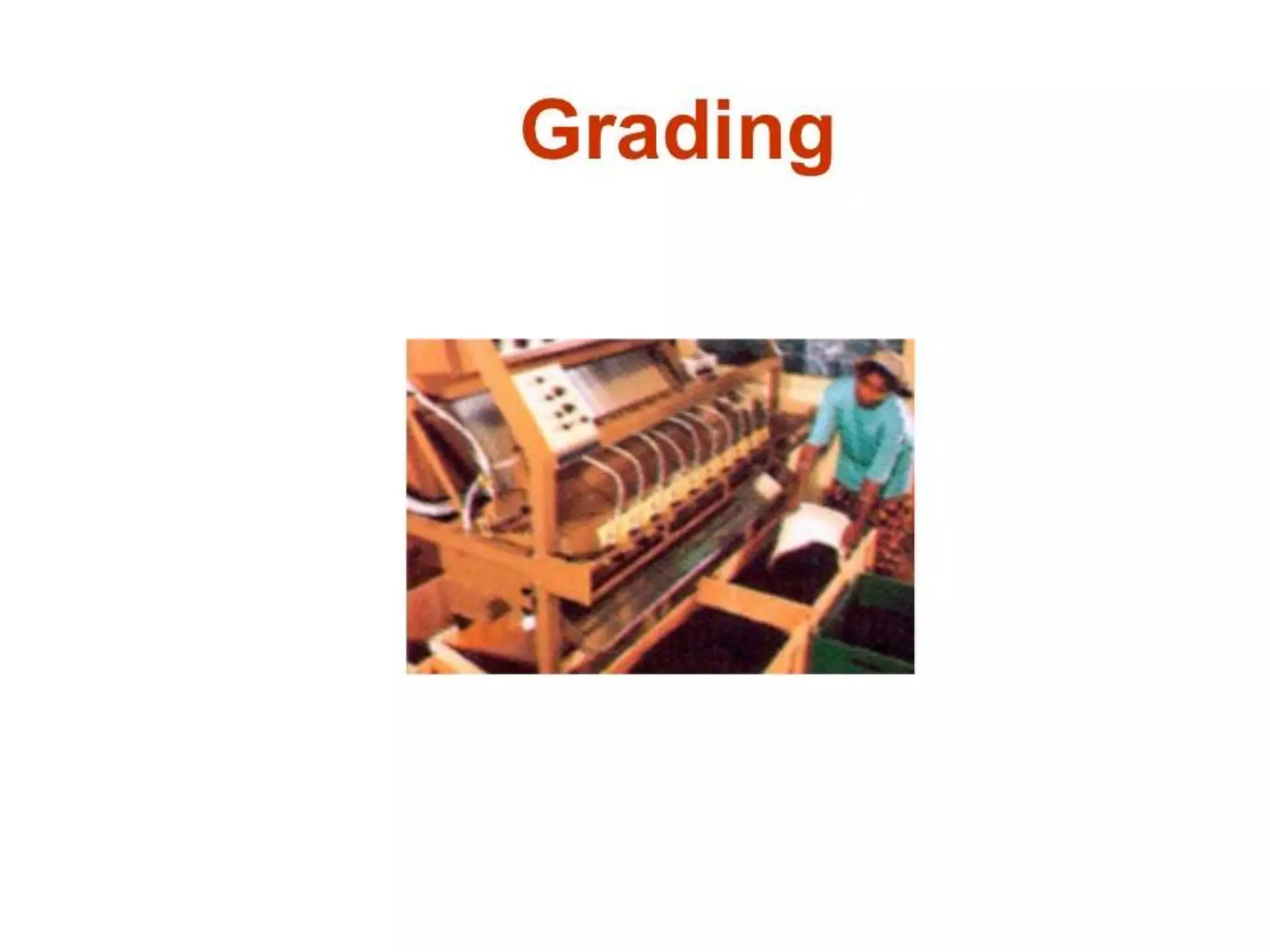 4.black tea manufacturing processes A Lecture By Mr. Allah Dad Khan Visiting Professor the University of Agriculture Peshawar Khyber Pakhtunkhwa Province Pakistan