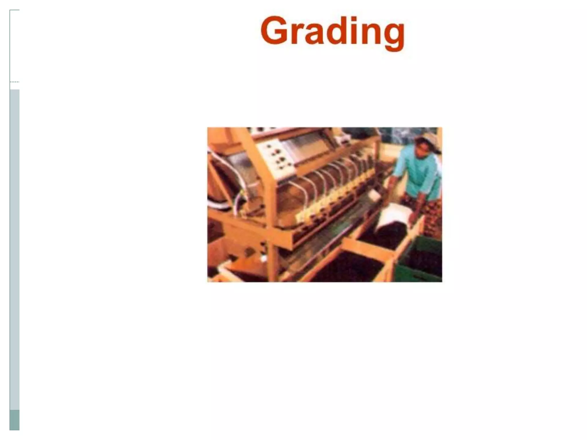 4.black tea manufacturing processes A Lecture By Mr. Allah Dad Khan Visiting Professor the University of Agriculture Peshawar Khyber Pakhtunkhwa Province Pakistan