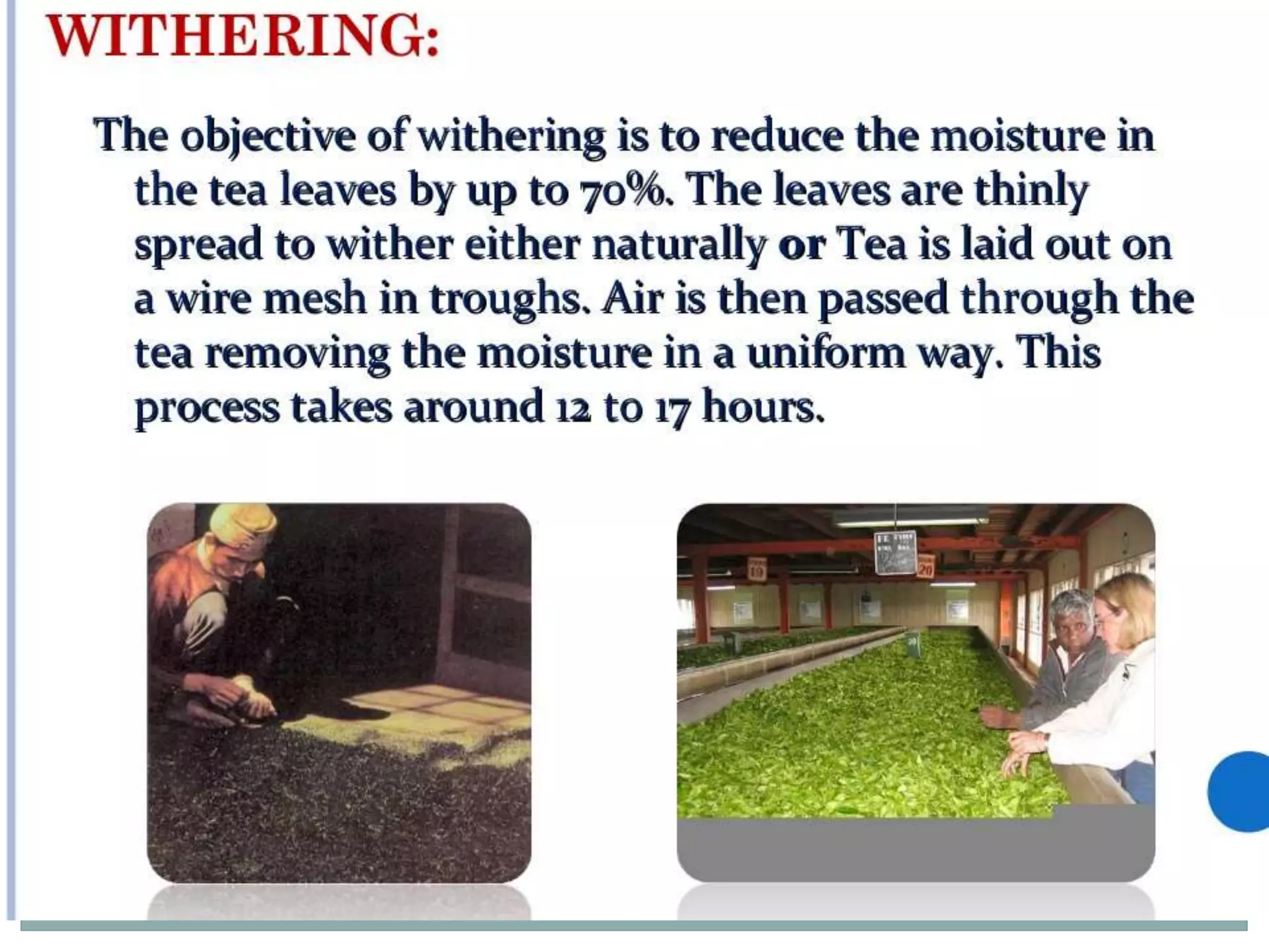4.black tea manufacturing processes A Lecture By Mr. Allah Dad Khan Visiting Professor the University of Agriculture Peshawar Khyber Pakhtunkhwa Province Pakistan