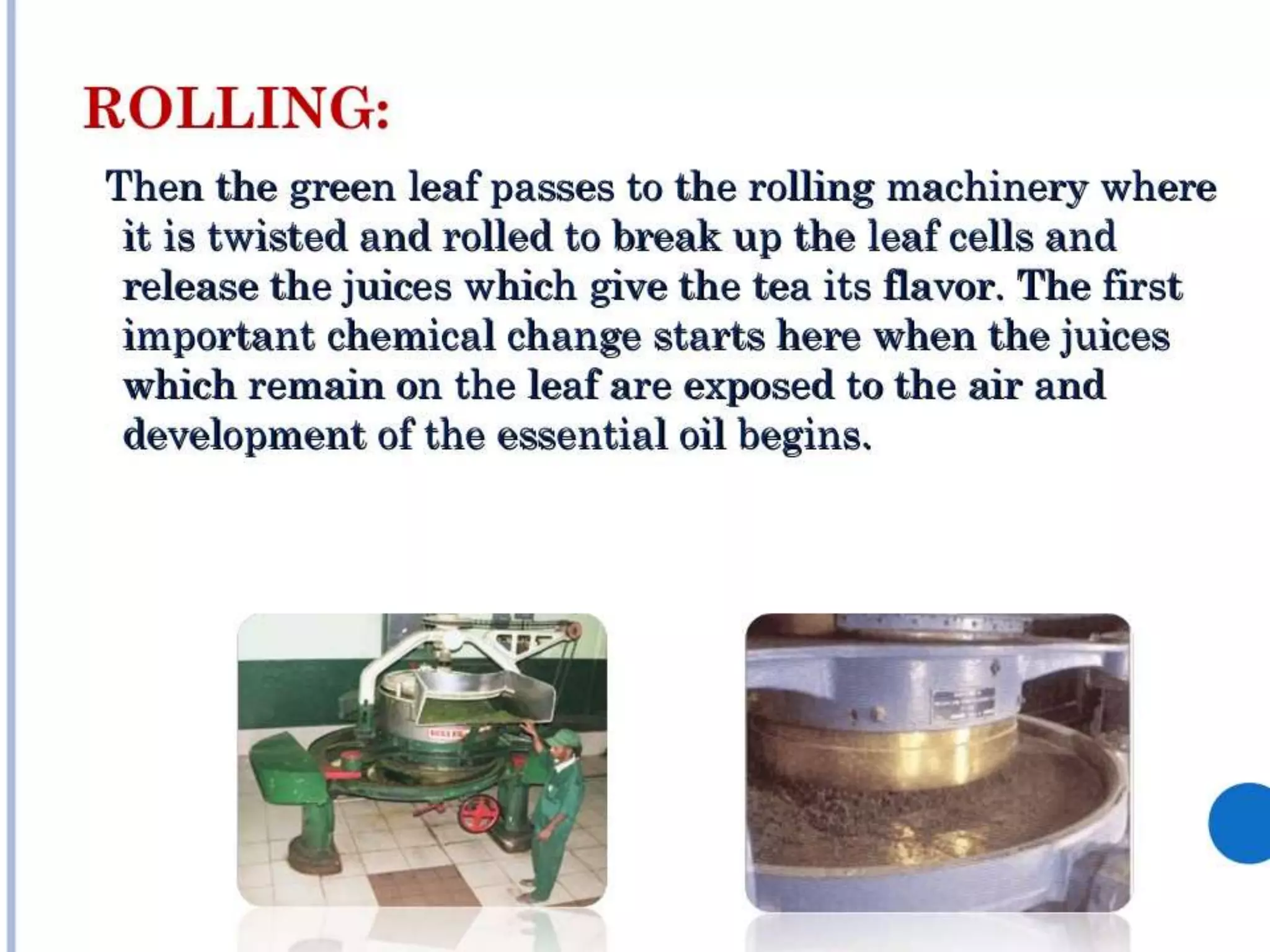 4.black tea manufacturing processes A Lecture By Mr. Allah Dad Khan Visiting Professor the University of Agriculture Peshawar Khyber Pakhtunkhwa Province Pakistan