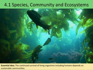 4.1 Species, Community and Ecosystems
Essential idea: The continued survival of living organisms including humans depends on
sustainable communities.
 